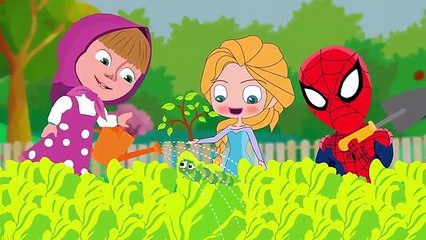 w Compilation# Lollipop Spiderman Masha Crying When Glass Jar Falls On Her Head FINGER FAMILY
