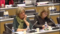 Mon intervention en commission des lois dans le cadre du contrôle parlementaire de l'état d'urgence