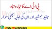 Junaid Jamshed Aur Un Ki Ahliya PIA Ke Tabah Hone Wale Jahaz Mein Sawar