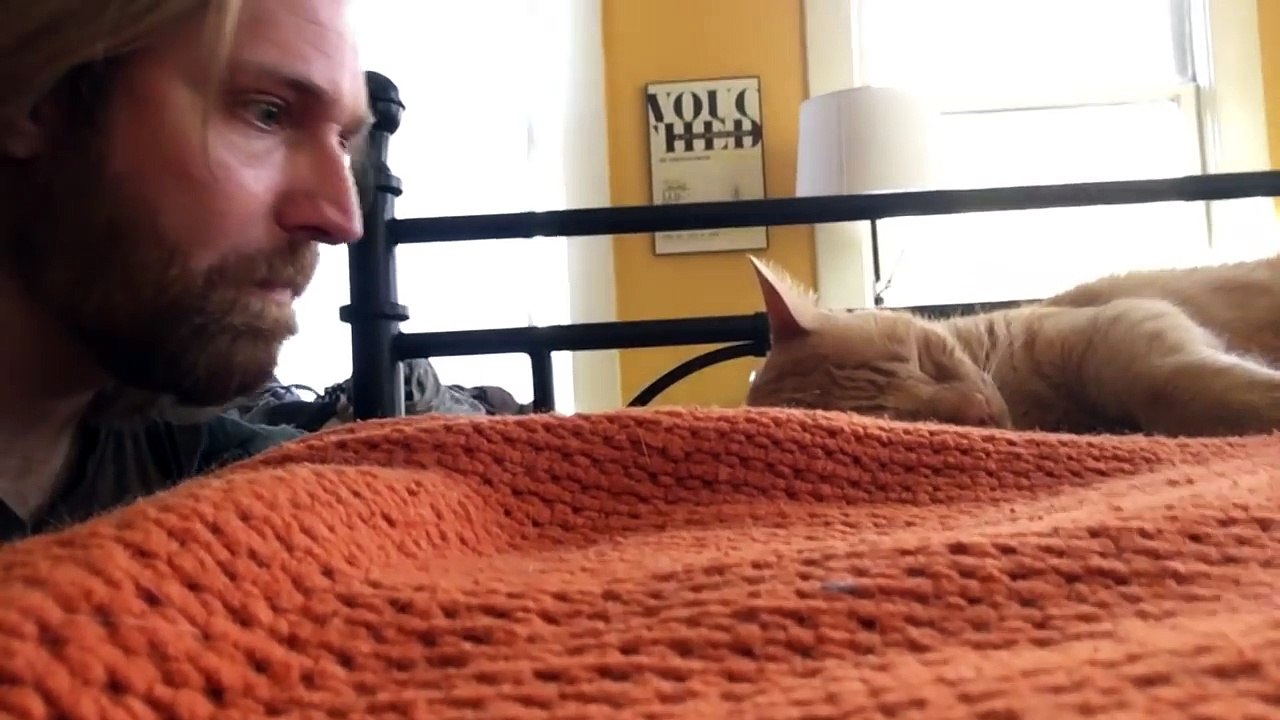 Hilarant ! Il se venge de son chat qui le réveille toutes les nuits en miaulant