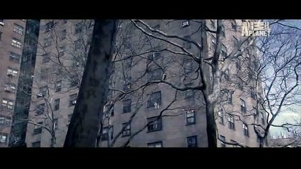 Fatal Attractions  My Brother s Pet Tiger