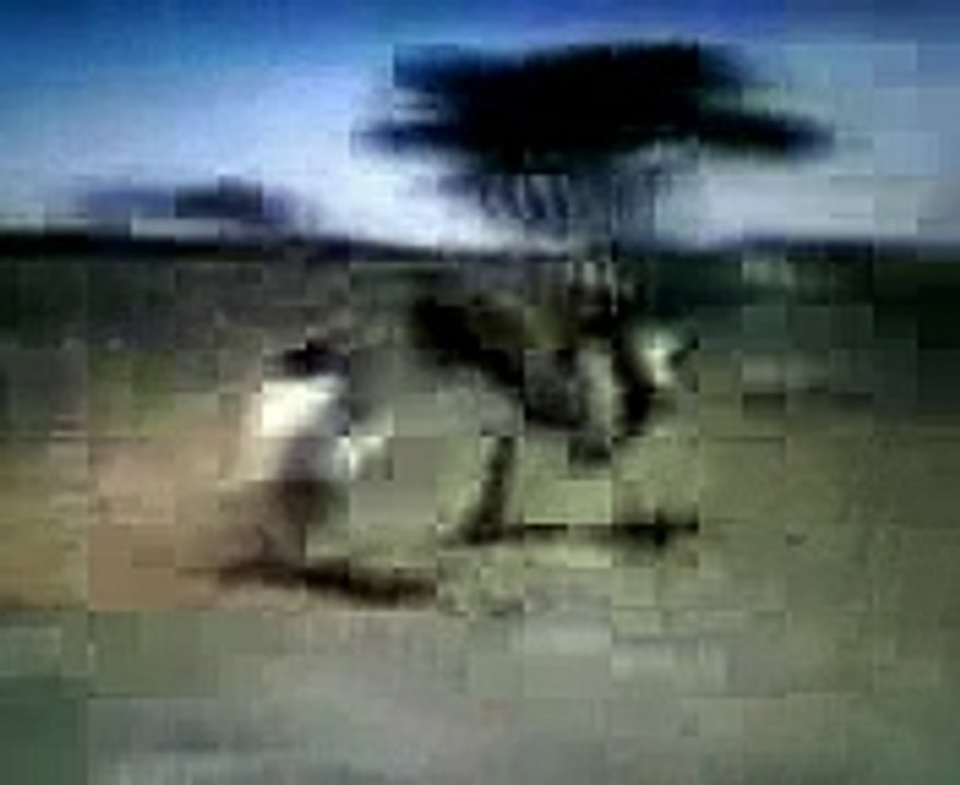 Lion Attacks Man