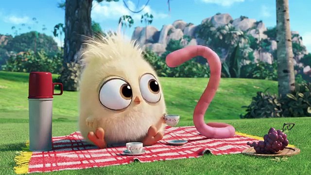 The Angry Birds Movie The Early Hatchling Gets the Worm (Hatchling Short)