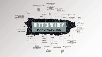 Business in Puerto Rico. What Are You Waiting For ?