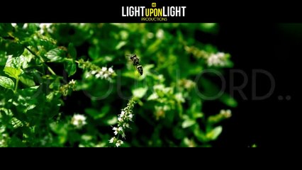 A Magical Dua [Very Emotional]