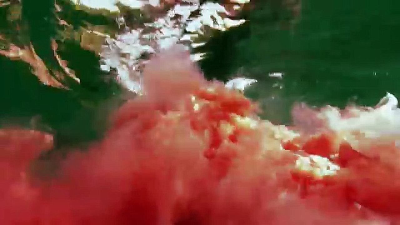 Eaten Alive - Shark Sneak Attack