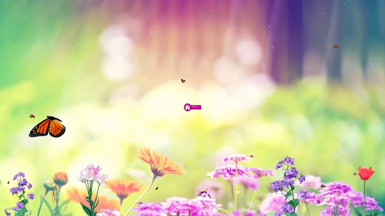 Tunus İşi Rumeli Burgusu Örgü Modeli Yapılışı Videolu Anlatım