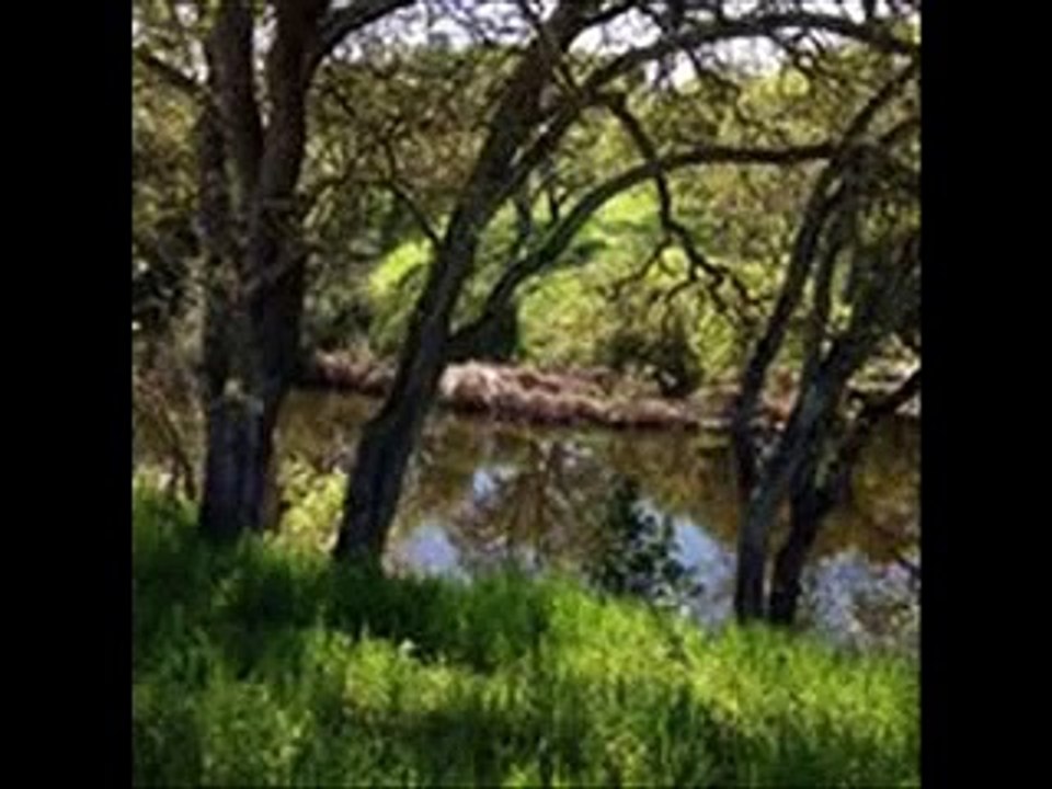 Hidden Lakes Ghost Saves 4 Year Old Boy
