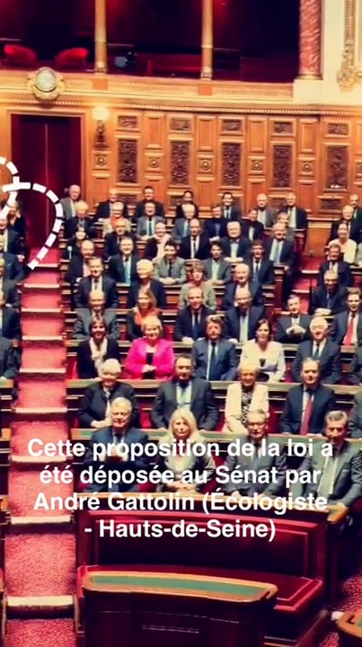 Story du Sénat : suppression de la publicité dans les programmes jeunesse sur le service public