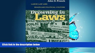 READ book Drowning in Laws: Labor Law and Brazilian Political Culture READ ONLINE