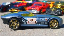 Hot Wheels Fast FeLion Diecast Race Car by Mattel - Auto Racing Toys Cars Collection