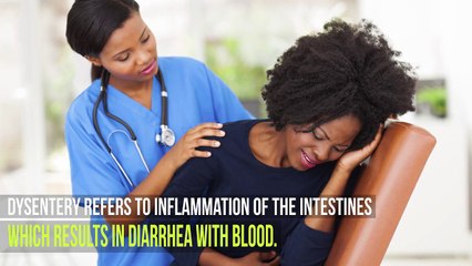 5 Dangerous Diseases Spread by Flies