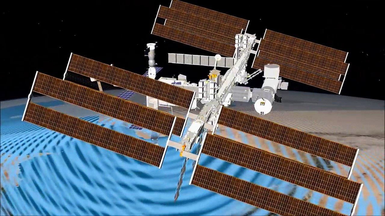 Icarus - a bird's-eye view of animal migration