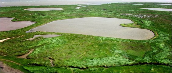 Le sentier du littoral du Cotentin - La Hague !