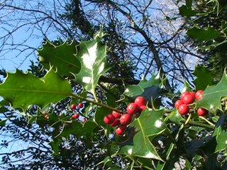 Sentiers de Rocharay - du Pont Pierre Chave - Miribel-les Echelles 38380