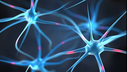 Nerve Türkçe Dublaj izle