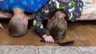 Bad Baby Игорек и Богдан против ГИГАНТСКИХ ПАУКОВ Видео для детей Entertainment for Children