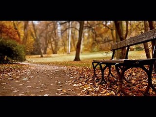 Gülpembe - NİLÜFER