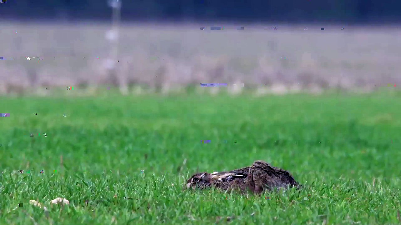 ZUT ! épisode 3