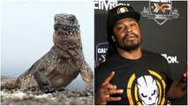 Marshawn Lynch HILARIOUS Narration OF Planet Earth's Iguana VS Snakes