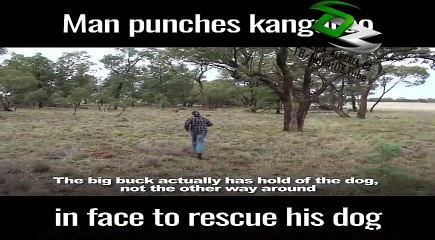 This is the most Australian video ever