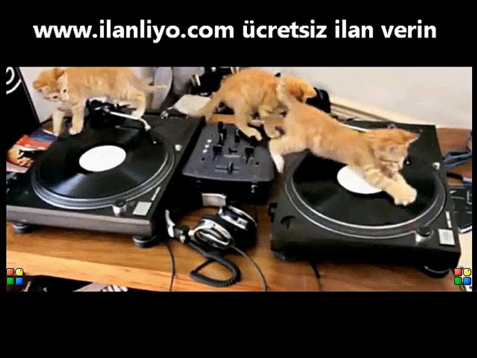 DJ Kediler