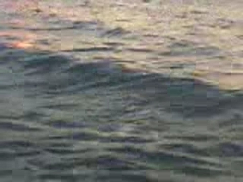 Video-azfoun