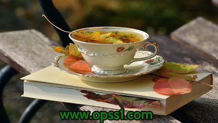 오피쓰 부산 (OPSS1 닷컴)