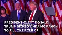 Trump makes Linda McMahon head of Small Business Administration