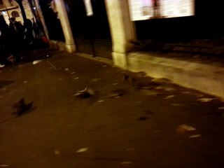 VID_20161206_214958  rats chatelet paris soir