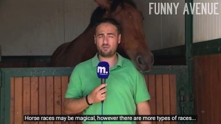 Funny Horse Loves Reporter-D4mKHLo7Dms