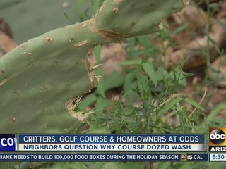 Wash destroying animal habitat in Gold Canyon