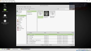 Linux Mint 18 Cannot Play MP3 and Videos FIX