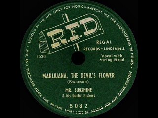 Mr. Sunshine & his Guitar Pickers - Marijuana, the Devil's flower