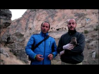 Dünyada Nesli Tükenme Tehlikesinde