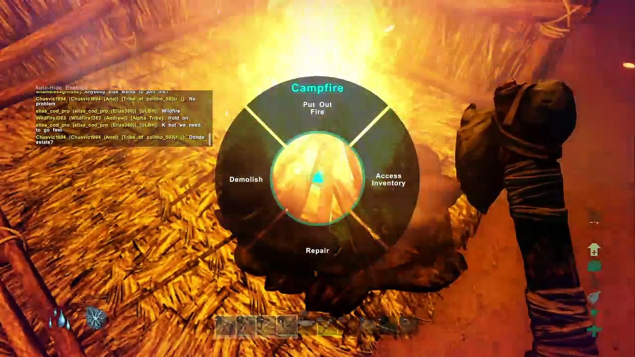 Ark (13)