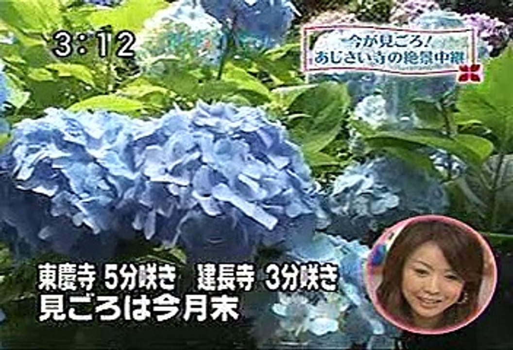 [2000年代バラエティ傑作シリーズ] アナ☆パラ（2008年6月11日 ＯＡ）
