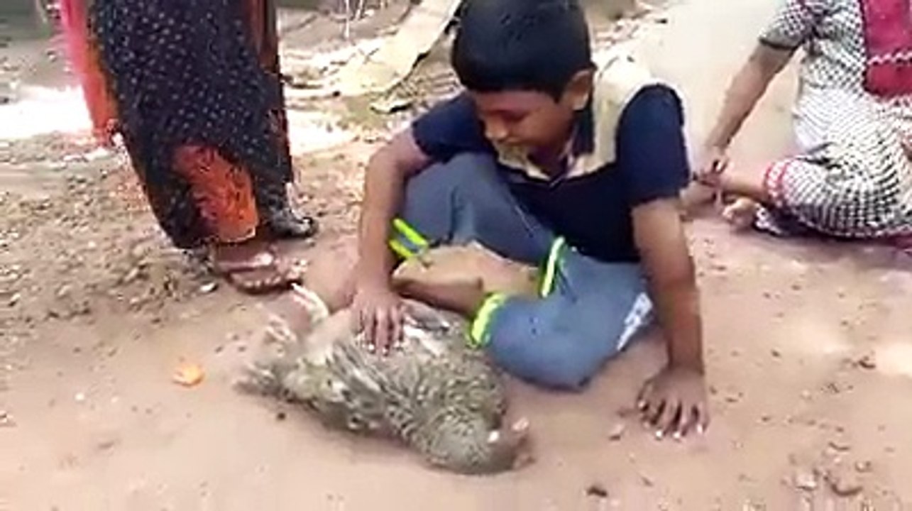 Very funny you must watch funny clip 2016 whats app videos funny videos prank (7)