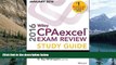Price Wiley CPAexcel Exam Review 2016 Study Guide January: Business Environment and Concepts