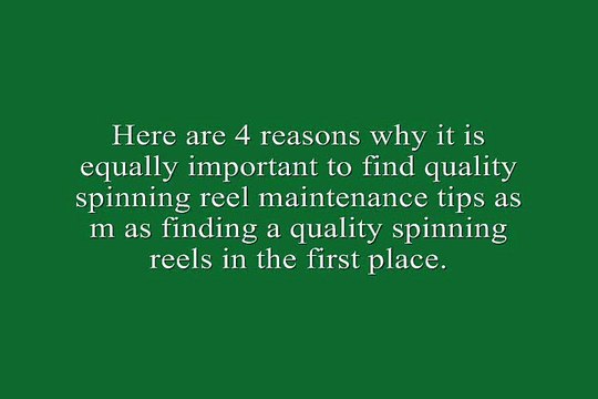 Watch Important Spinning reel maintenance tips