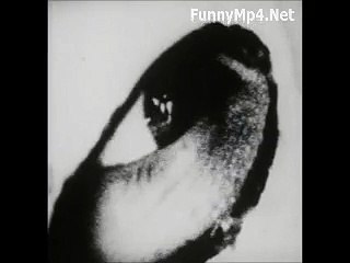 Free_Download_WhatsApp_Video_Brahmarakshas_-_In_Darkness_(Cognition)_Must_Watch