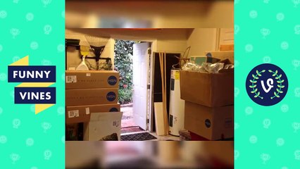 Ultimate Crash Fails Compilation of September 2016