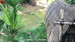 Wow! Amazing Human Catching Giant Python Snake Using The Big Net In cambodia