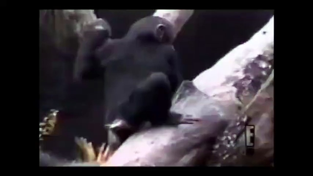 New Awesome Funny Video 2016-Fustastic Funny Video
