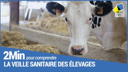 2 minutes pour comprendre le Département et la veille sanitaire des élevages