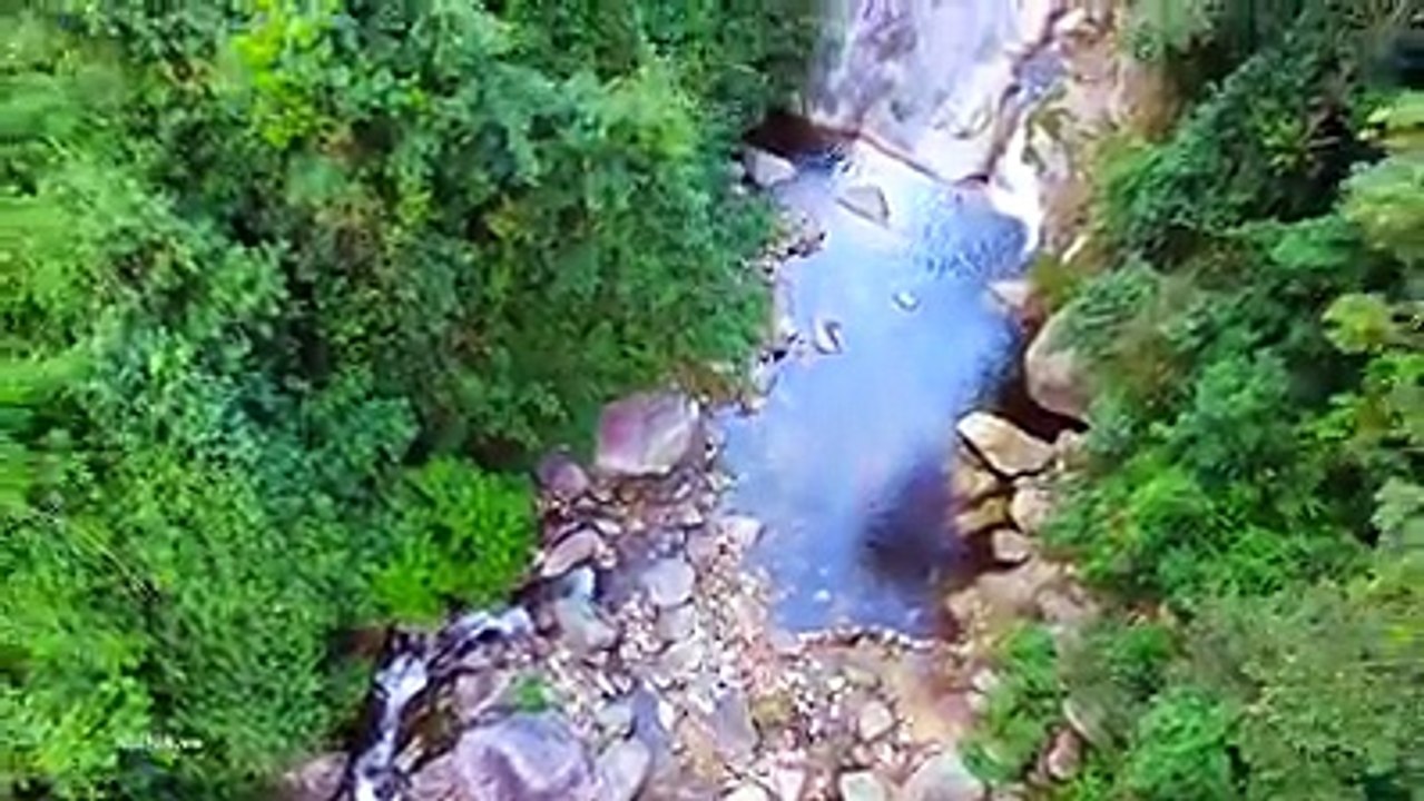 Tu Luong Bach forgotten where legend