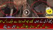 Army Soldiers Found Black Box From Crashed PIA Plane Pk 661 Chitral