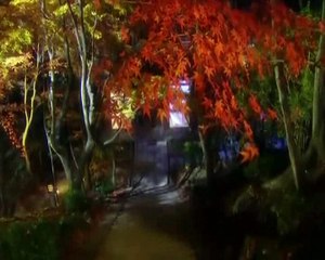 Efkârlı Gün Hazin Gece & Şiir ve Yorum & Esat Anık & Video Aynur Avcı