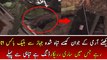 Army Soldiers Found Black Box From Crashed PIA Plane Pk 661 Chitral