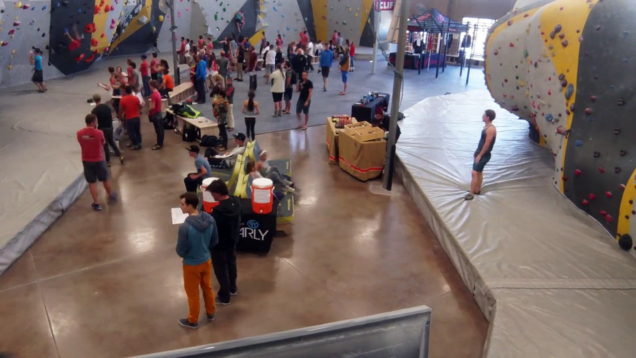 Momentum ProLo 2016